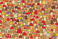 Acertijo visual, reto visual, ratón Pinterest