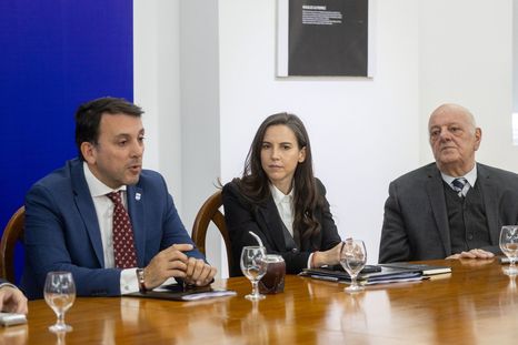 Mendoza se prepara para avanzar con la ley que establece la baja de la edad de imputabilidad a los 14 años. Mendoza se prepara para avanzar con la ley que establece la baja de la edad de imputabilidad a los 14 años.