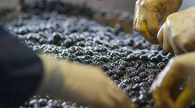 Foto: Instagram Marcelo Pelleriti