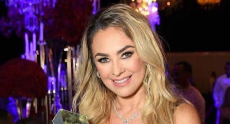 Aracely Arámbula, Luis Miguel