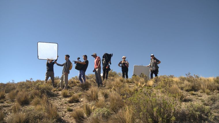 La campaña priorizó el factor humano, la empatía y la sensibilidad. La campaña priorizó el factor humano, la empatía y la sensibilidad.