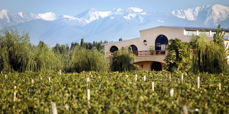 Bodega Lourton. Foto: Bodega Lurton.