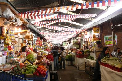 MDZol | Foto: Internet