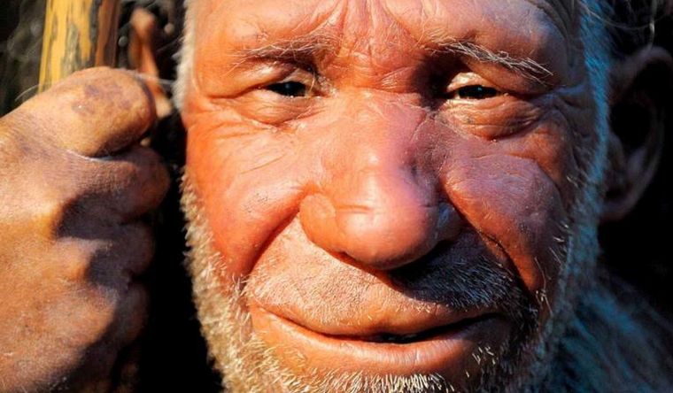 Los neandertales ya se vincularon con homo sapiens, hace, al menos, 140.000 años. Foto: Efe. Los neandertales ya se vincularon con homo sapiens, hace, al menos, 140.000 años. Foto: Efe.