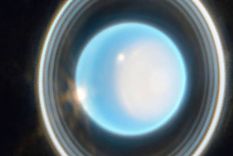 La imagen muestra en extraordinario detalle algunos de los 13 anillos conocidos de Urano. (NASA, ESA, CSA, STScI. Procesamiento de imágenes: J. DePasquale, STScI). Foto: NASA