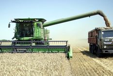 Por la sequía la cosecha de trigo 2022/23 tendrá una baja muy importante y complicará los planes de abastecer el mercado interno y cumplir con los compromisos de exportación. Foto: TheWestAustralian.