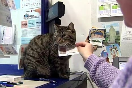 Lotería de Navidad: Supersticiones más curiosas para ganar El Gordo