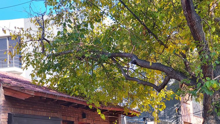 Foto: Santiago Tagua/MDZ