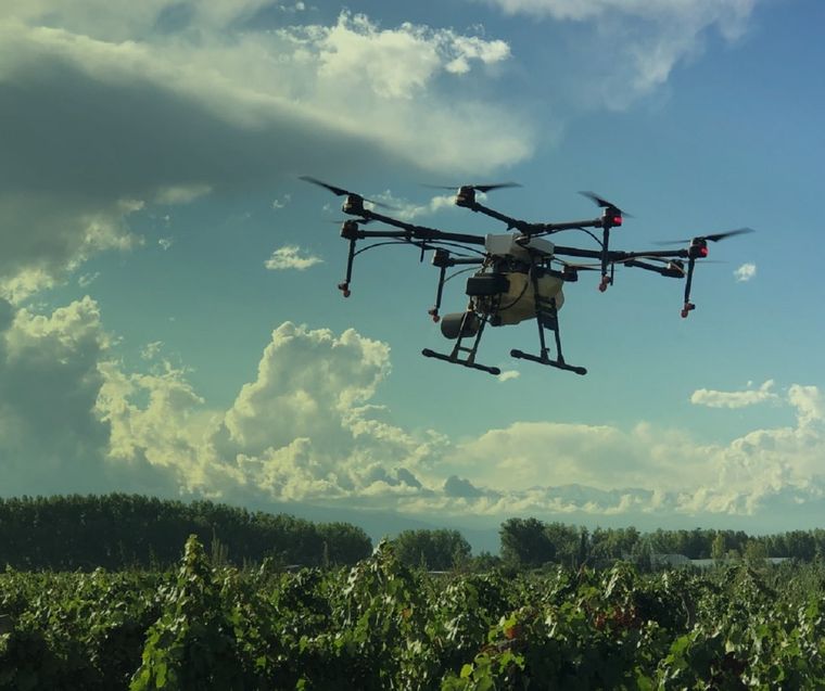 UCO Drone es un novedoso sistema de pulverización Foto: Facebook UCO Drone