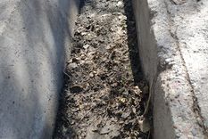 La suciedad provoca malos olores y la proliferación de mosquitos La suciedad provoca malos olores y la proliferación de mosquitos