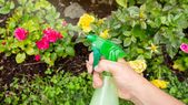 La primavera despierta y el jardín se transforma en septiembre. Foto: Shutterstock