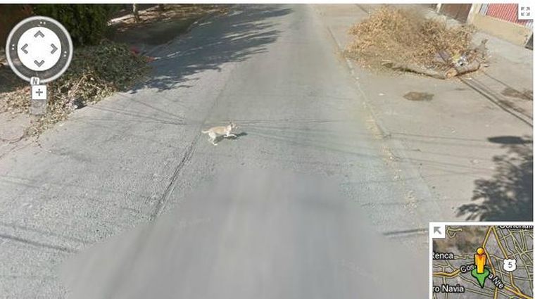 557315.jpg