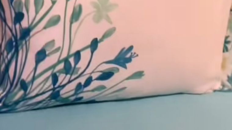 Yolanda Tips fundamentales. Foto: @yolandavaquitaYoli