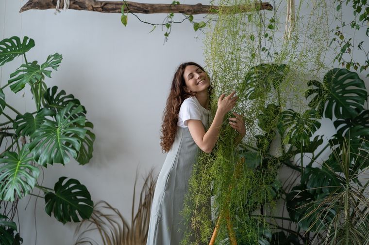 JARDÍN LOS AMBIENTES CON POCA LUZ TAMBIÉN SON PROPICIOS PARA EL CRECIMIENTO DE ALGUNAS PLANTAS Foto: SHUTTERSTOCK