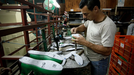 Los incentivos están destinados a micro, pequeñas y medianas empresas