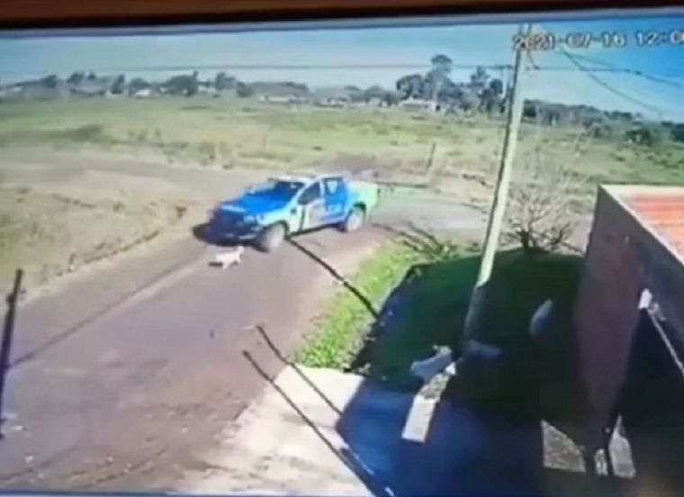 Los policías fueron denunciados por atropellar intencionalmente a un perro. Foto: ONG Proyecto 4 Patas