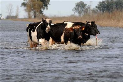 MDZol | Inundaciones Santa Fe