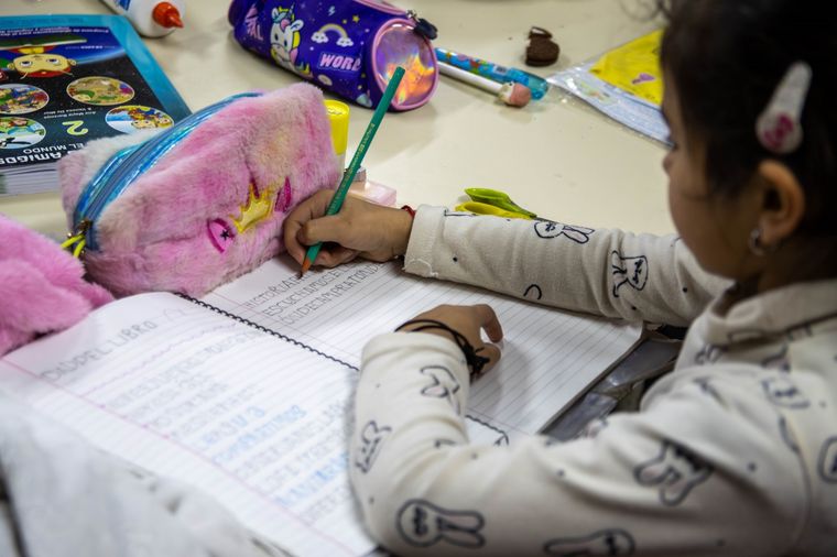 La provincia tomó una drástica decisión respecto de la educación. Foto: Santiago Tagua/MDZ