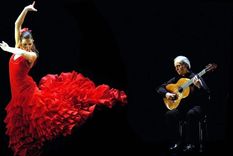 La inteligencia artificial dijo esto sobre el flamenco Foto: Archivo La inteligencia artificial dijo esto sobre el flamenco Foto: Archivo