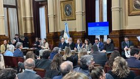 El Senado dictaminó la emergencia pediátrica y va por las universidades. El Senado dictaminó la emergencia pediátrica y va por las universidades.