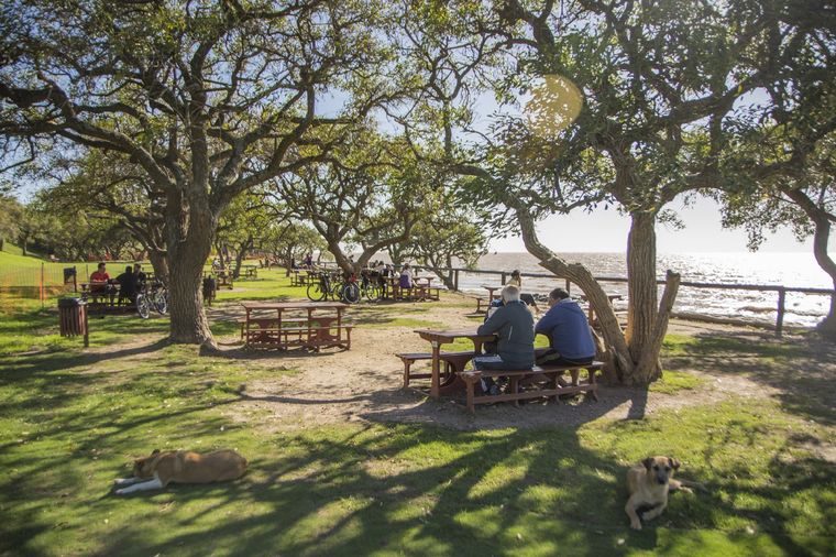 La zona de la Reserva Ecológica en donde habría ocurrido el abuso Foto: Gentileza Ciudad de Buenos Aires