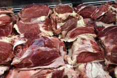 Foto: ALF PONCE MERCADO / MDZ Foto: ALF PONCE MERCADO / MDZ