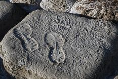Mendoza debe administrar la escasez de agua. La última sequía fue la más extensa de la historia. Cornejo busca que se apruebe un nuevo Código de Aguas que incluya esas contingencias. Foto: ALF PONCE MERCADO / MDZ