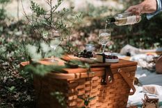 Foto de Taryn Elliott en Pexels Foto: Foto de Taryn Elliott en Pexels