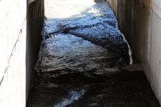 Foto: ALF PONCE MERCADO / MDZ