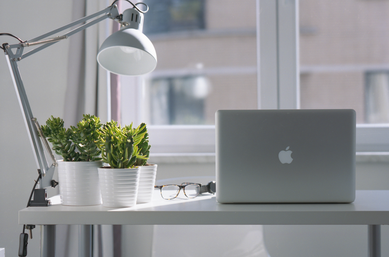 Las plantas le dan vida a los rincones del hogar. Foto: Pexels