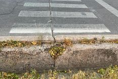 La particular senda peatonal.