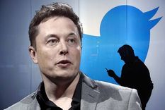 Elon Musk, el magnate, está en todos los detalles. Foto: Vandal Elon Musk, el magnate, está en todos los detalles. Foto: Vandal