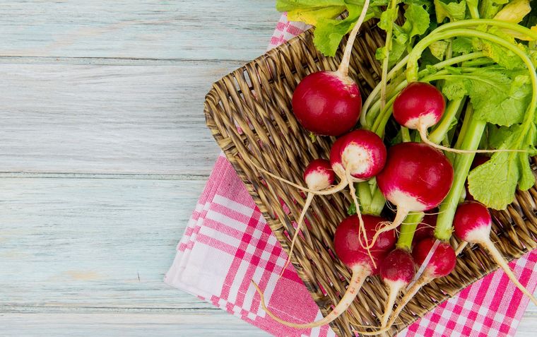 PH Freepik Foto: PH Freepik