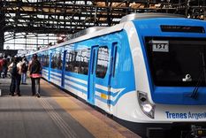 El motivo de estas interrupciones fue la desconexión temporal de la energía eléctrica de la catenaria, el sistema de alimentación aérea del tren.