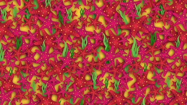 Acertijo visual, reto visual, avión