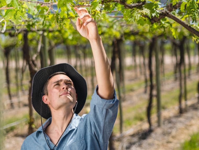 Matáis Morcos. Foto: Gentileza