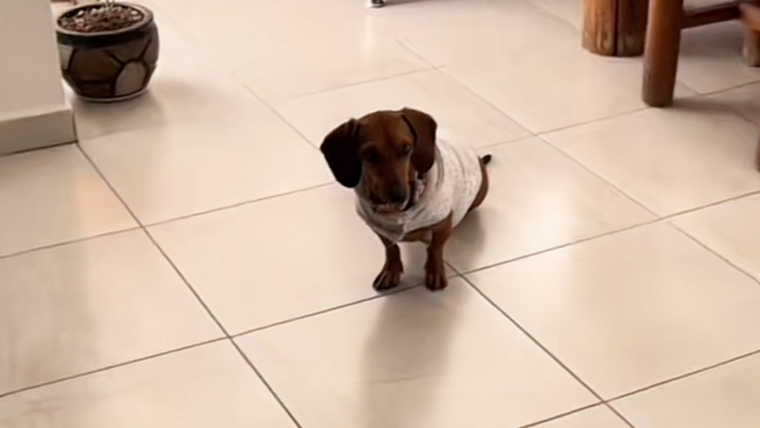 Tips de limpieza Hogar limpio en cuestión de segundos. Foto: Fuente: imagen - tiktok - @valbarrales