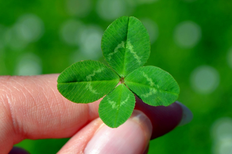 Los números y la astrología se unen para predecir los números de la suerte de cada signo Foto: Pixabay - pixabay.com