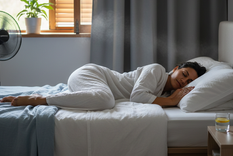 plantas que ayudan a dormir mejor y purifican el aire del dormitorio