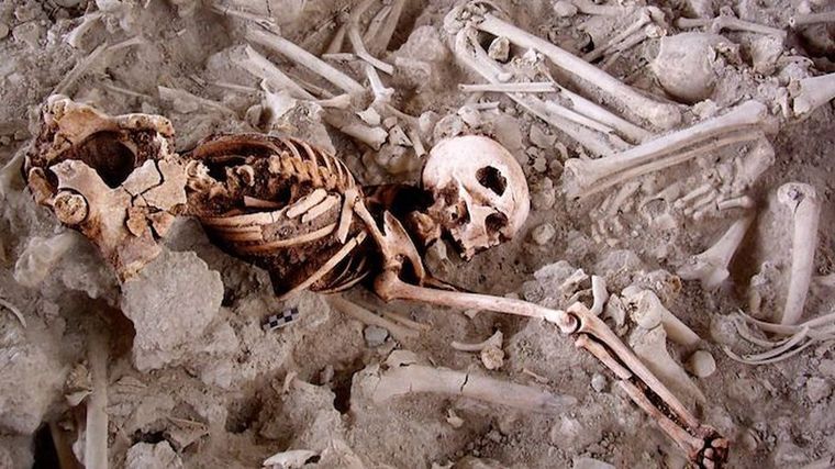 El esqueleto de una mujer que vivió hace miles de años reveló una hazaña de la medicina Foto: Sonia Díaz-Navarro et al.