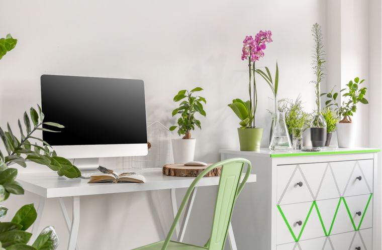 Oficina Plantas para decorar este espacio Foto: Shutterstock