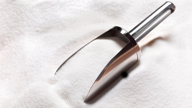 Jardinería. Un ingrediente clave para las plantas. Jardinería. Un ingrediente clave para las plantas.