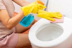 Esta es la mezcla perfecta para la limpieza del inodoro. Foto: Shutterstock