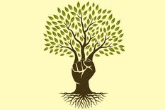 Test de personalidad