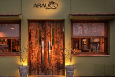 MDZol | Foto: Website Arauco