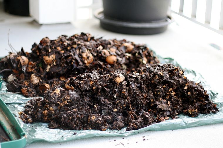 Compost No todos los residuos son recomendados Foto: Wunderstock