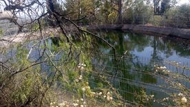 limpiaron el estanque del cerro de la gloria que se habia colmado de basura limpiaron el estanque del cerro de la gloria que se habia colmado de basura