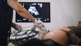 Los científicos del Instituto de Genética de la Universidad Nacional de Colombia descubrieron un caso de superfecundación heteropaternal.