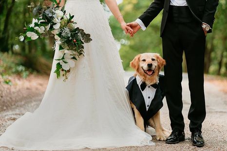 Las bodegas perfectas para celebrar tu boda. Las bodegas perfectas para celebrar tu boda.