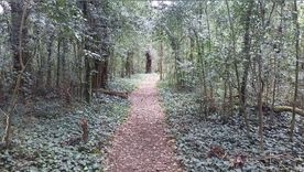 El Bosque Encantado, en General Belgrano Foto: Turismo General Belgrano